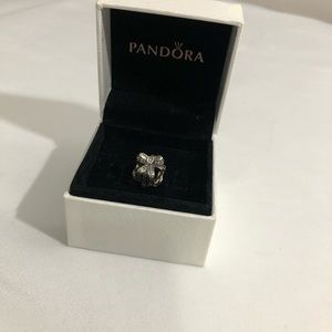 Pandora bracelet gift charm